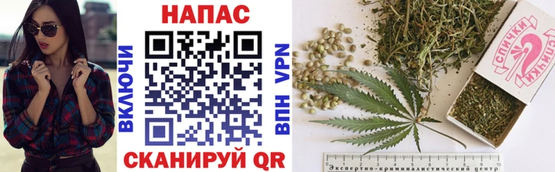 Шишки марихуана планчик  ссылка на мегу как зайти  Володарск 